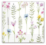 Procos Botanical, Virág szalvéta 20 db-os, 33x33 cm FSC PNN89787 (PNN89787)