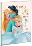 GIM Disney Hercegnők B/5 vonalas füzet 40 lapos GIM33150400 (GIM33150400)