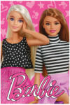 Exity Barbie Friends polár takaró 100x150cm NETE1435 (NETE1435)