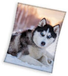 Carbotex Kutyás Husky coral fleece polár takaró 150x200cm CBX231093KNL (CBX231093KNL)