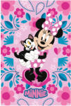 Exity Disney Minnie Cuddle polár takaró - 100 x 150 cm NETEMIN1430-B (NETEMIN1430-B)
