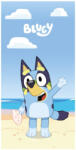 Mister Licence Bluey Ocean fürdőlepedő, strand törölköző 70x140cm (Fast Dry) FML358923 (FML358923)