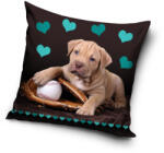 Carbotex Kutyás párnahuzat 40x40 cm CBX195002DOG (CBX195002DOG)