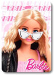 Setino Barbie Beauty polár takaró 100x140cm NETSTN4163 (NETSTN4163)