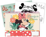 GIM Disney Minnie Nomadic Spirit A/4 spirál vázlatfüzet 40 lapos matricával GIM34034416 (GIM34034416)