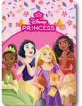 Mister Licence Disney Hercegnők Fairy Tale polár takaró 100x140cm FML367543 (FML367543)