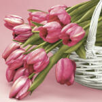 POL-MAK Tulipán Falling szalvéta 20 db-os 33x33 cm PKK055360 (PKK055360)