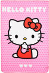 Sun City Hello Kitty Adorable polár takaró 100x150cm SNXHY46005 (SNXHY46005)