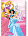 Mister Licence Disney Hercegnők Castle polár takaró 100x140cm FML349426 (FML349426)