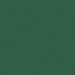 POL-MAK Palack zöld Maki szalvéta 20 db-os 33x33 cm PKK015364 (PKK015364)