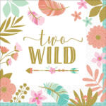 Amscan Happy Birthday Girl 2 szalvéta 16 db-os 33*33 cm DPA5121062 (DPA5121062)