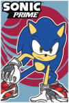  Sonic a sündisznó Prime polár takaró 100x150cm NETESCP1432-B (NETESCP1432-B)