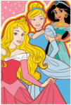 Exity Disney Hercegnők Team polár takaró - 100 x 150 cm NETEPRI1419-B (NETEPRI1419-B)