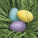 POL-MAK Húsvét Pastel Eggs in Grass szalvéta 20 db-os 33x33 cm PKK045545 (PKK045545)