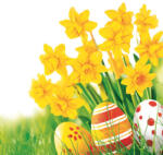 POL-MAK Húsvét Bunch of Daffodils szalvéta 20 db-os 33x33 cm PKK056459 (PKK056459)