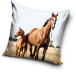 Carbotex Lovas Loyal Hearts párnahuzat 40x40 cm CBX231196PNL (CBX231196PNL)