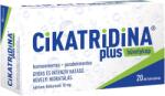  Cikatridina plus hüvelykúp 20x - patika-akcio