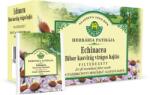 Herbária Bíbor kasvirág virágos hajtás (Echinaceae purpureae herba) filteres tea 20x