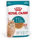 Royal Canin 12x85g Royal Canin Ageing 11+ szószban nedves macskatáp