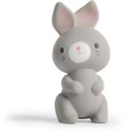 Ingenuity Kaucsuk rágóka nyuszi Sylvi 0hó+ - pepita