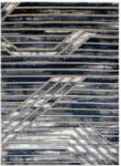  Szőnyeg WELLI LINES grafitszürke 120x170