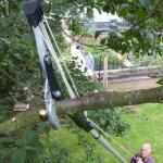 Darlac S/T Fogaskerekes Ágvágó