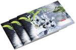 Herlitz Biológia füzet, 24 oldal, 60 g/m2 papír, duplex karton, Rock Your School