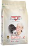 BonaCibo High Energy - PUPPY (Csirke, szardella és rizs) 15+3 kg