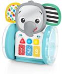 Baby Einstein Интерактивна музикална играчка Chase & Tap Earl 6m+ (16923-4)
