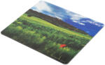 NATEC Egérpad Olaszország 220x180mm