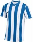 Nike M NK DF STRIPPED JSY Alb, Albastru, Negru S (FZ9337-101)