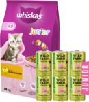 Whiskas WHISKAS Száraz cicatáp Junior csirkével 14kg + WILD FARM Premium Grain Free Chicken and Salmon Junior 6x400g
