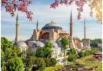 Alipson Puzzle 50246 - Saint Sophia - Istanbul - 1000 db-os puzzle (50246)