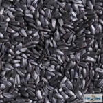  Feketemag / Fekete napraforgó 5kg