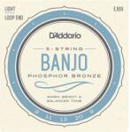 D'Addario EJ69 Corzi pentru banjo (EJ69)