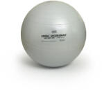 SISSEL Minge SISSEL® Securemax Ball - O 65 cm Culoare: argint Minge fitness