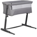  Colibro babaöböl Byside dove