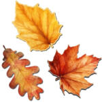  Nyomtatott dekorkarton - Őszi falevelek 6-7cm 3db/cs - papelito