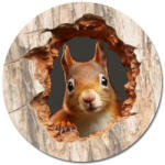  Nyomtatott fa tábla koszorú közép - Kíváncsi mókus 11, 8 6832