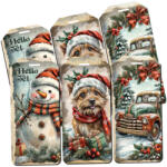  Nyomtatott dekorkarton - Karácsonyi ajándékkísérő piros/zöld biléták 6db/cs 2756