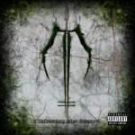 Dawn of Ashes Infacting the Scars