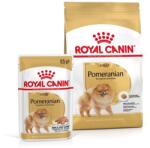 Royal Canin Pomeranian Adult 3 kg + hrană umedă Pomeranian Adult 12x85g