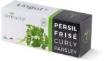 Véritable Lingot fodros metélőpetrezselyem - BIO (VLIN-A10-Per028)