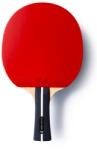 Butterfly Ovtcharov Prime C Pingpongütő