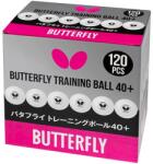 Butterfly Training Ball 40+ White (120 ks) Labdák