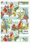 Nebulo Caiet spiralat cu riglă NEBULO L-Design A/4 70 pagini SP-VO-LD-A4 (SP-VO-LD-A4)