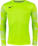 Nike Dry Park Iv Jsy Ls Gk (cj6066-702)