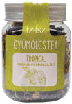ÍZ-ISZ Gyümölcstea Trópusi 120g - delfinbuvar