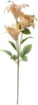 Clayre & Eef Crin artificial bej verde 15x10x72 cm (6PL0337Y)