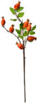 Clayre & Eef Crenguta fructe padure portocalii verzi 10x8x50 cm (6PL0390O)